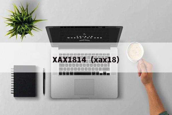 XAX1814（xax18）