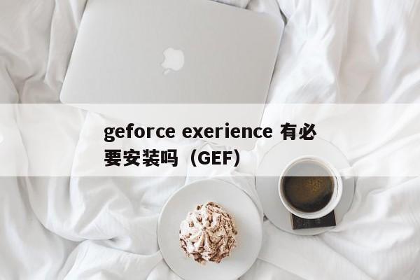 geforce exerience 有必要安装吗（GEF）