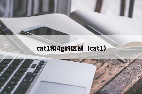 cat1和4g的区别（cat1）
